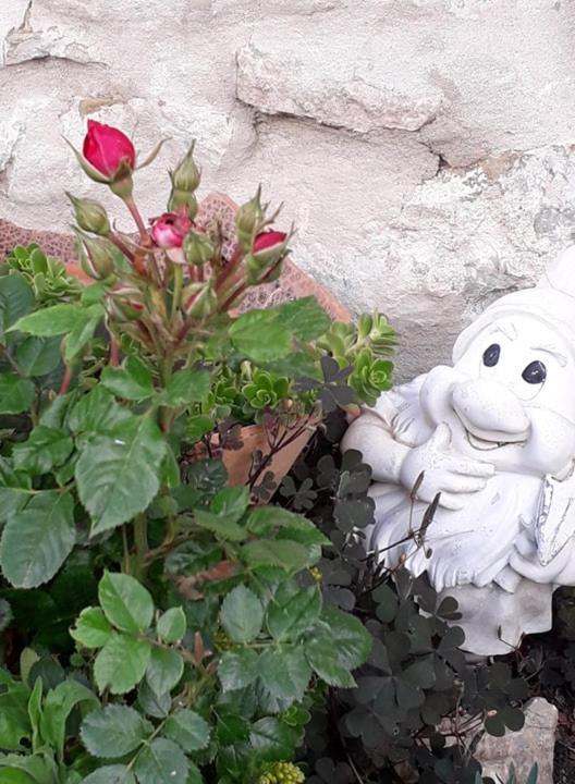 Agriturismo Grossola Castiglione dʼOrcia Εξωτερικό φωτογραφία