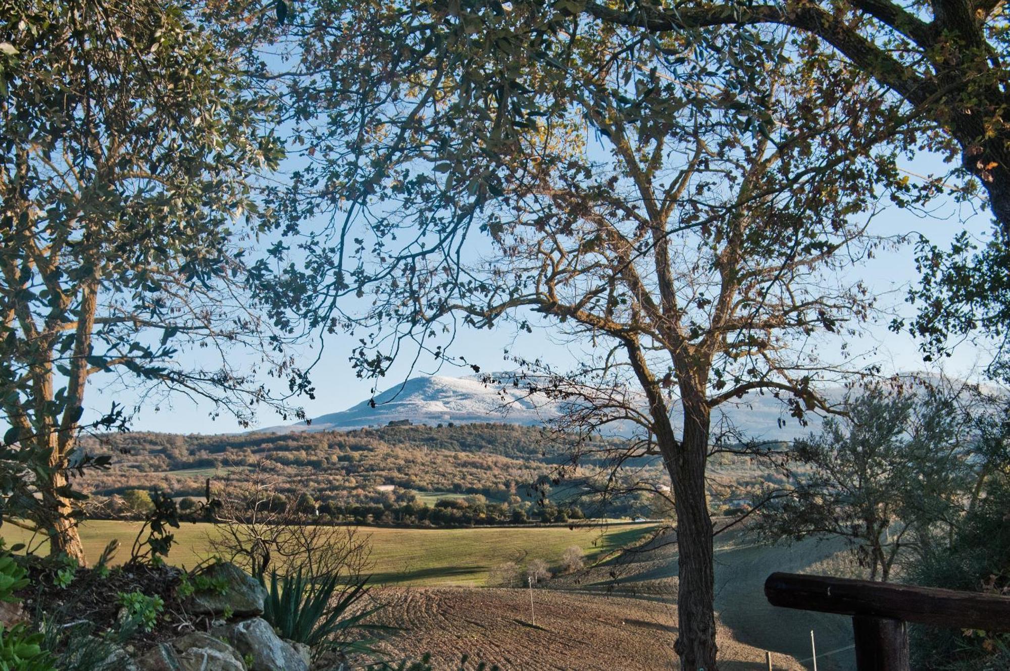 Agriturismo Grossola Castiglione dʼOrcia Εξωτερικό φωτογραφία