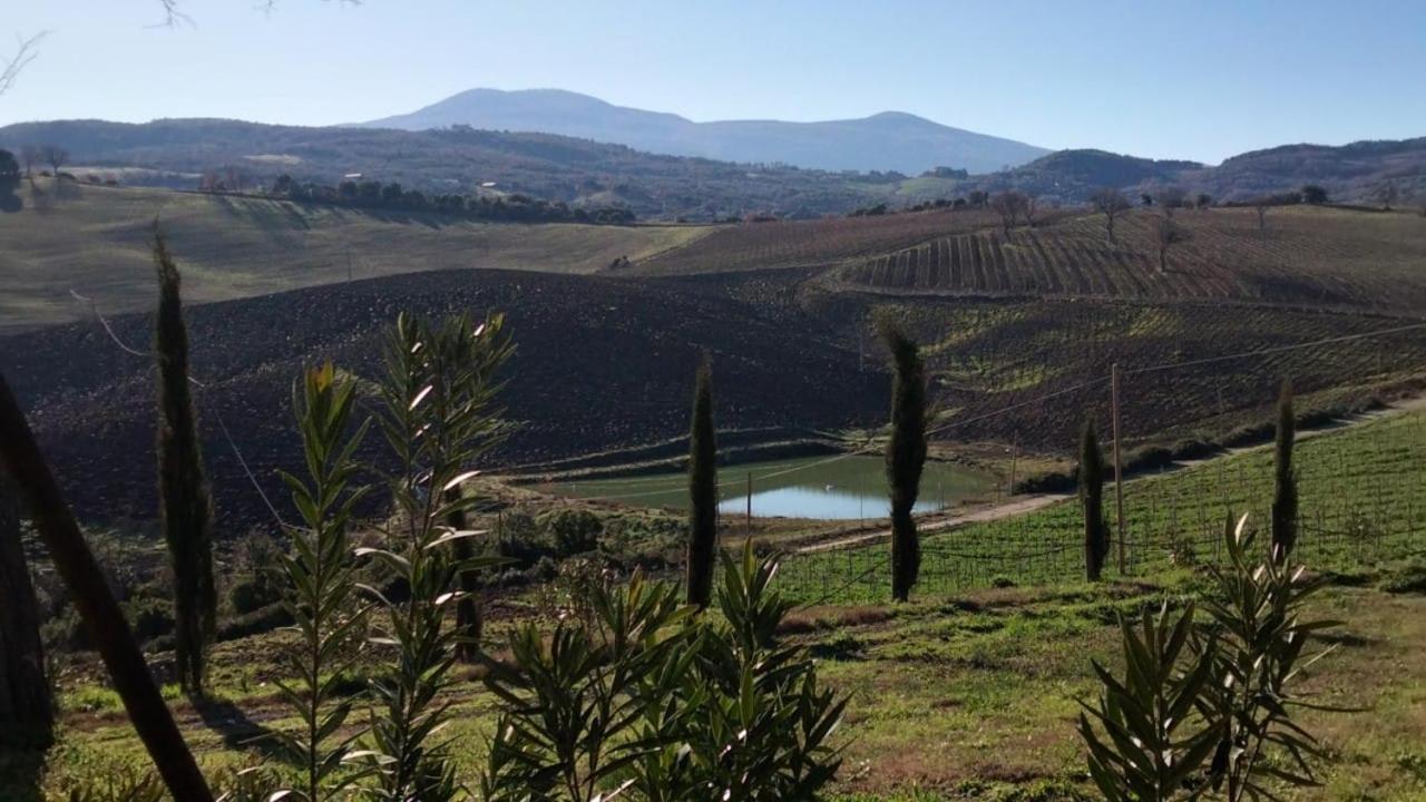 Agriturismo Grossola Castiglione dʼOrcia Εξωτερικό φωτογραφία