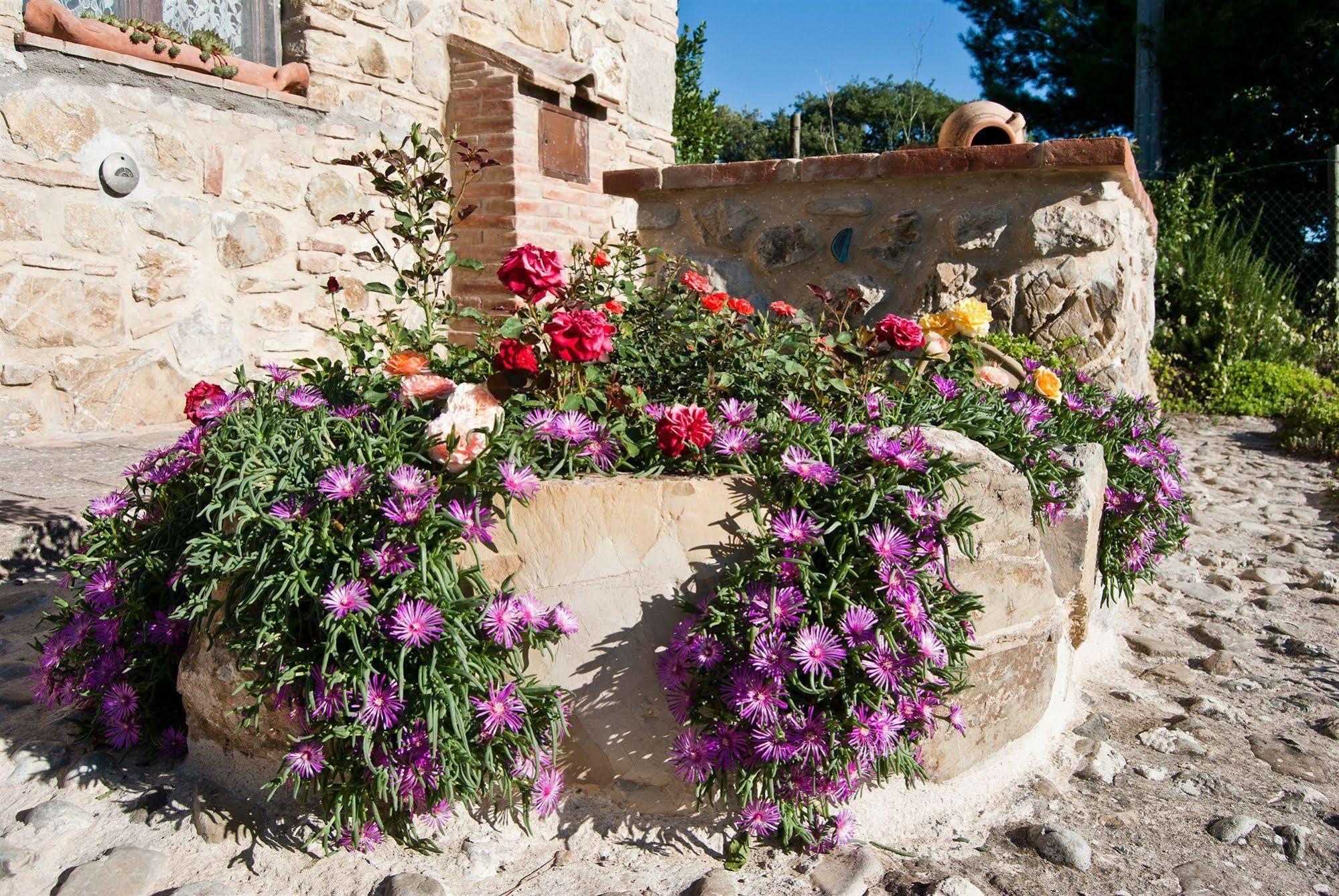 Agriturismo Grossola Castiglione dʼOrcia Εξωτερικό φωτογραφία