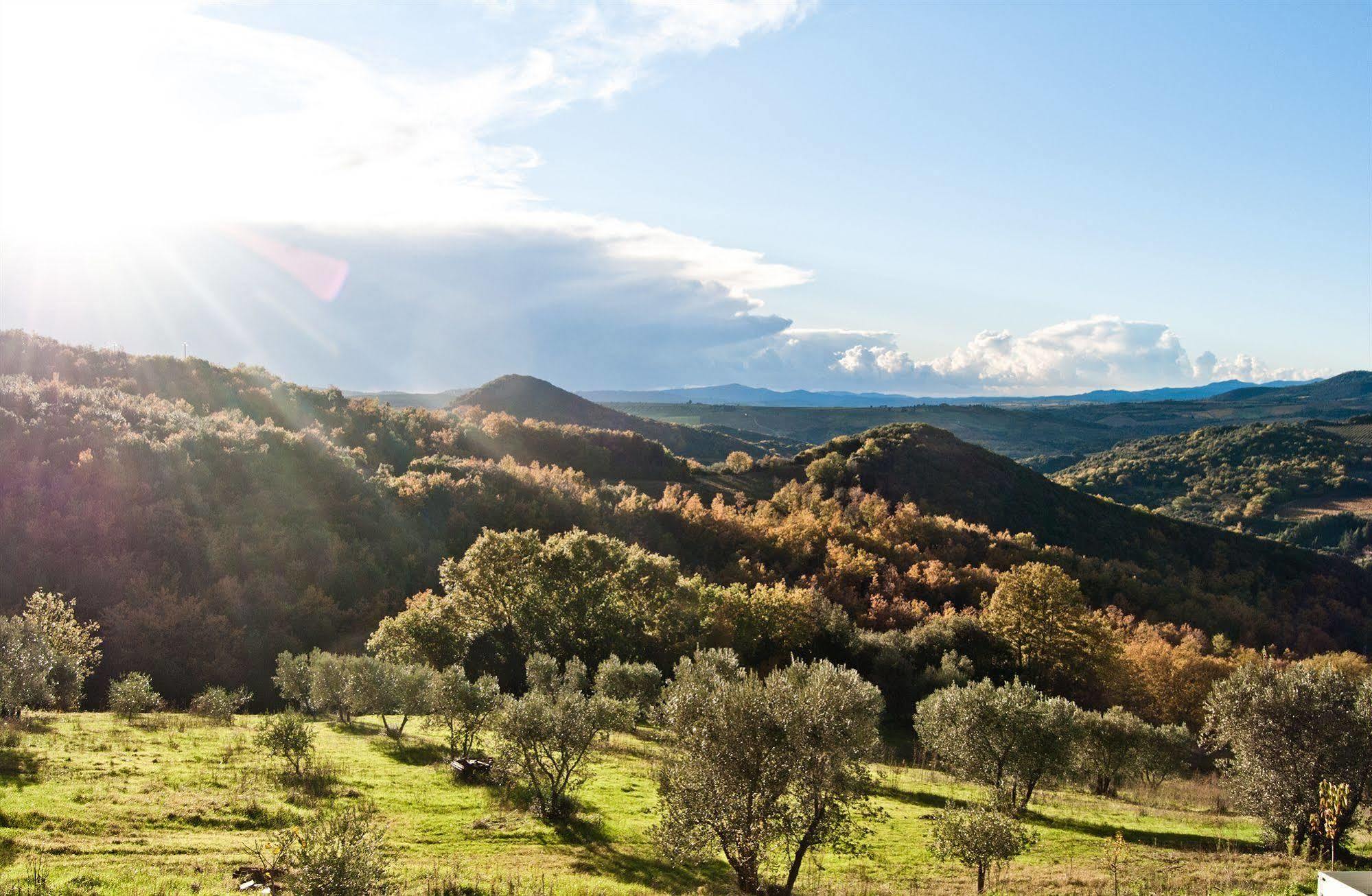 Agriturismo Grossola Castiglione dʼOrcia Εξωτερικό φωτογραφία